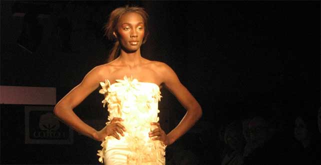 Jennifer Santariello New York Fashion Show Designer